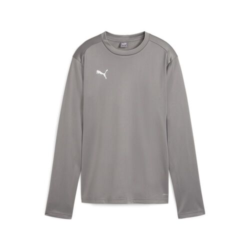 Puma teamGOAL Training Sweat Wmn - grau