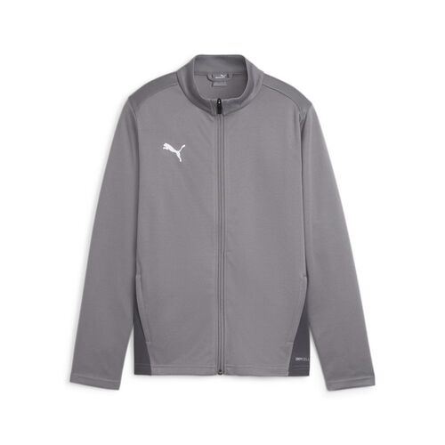 Puma teamGOAL Training Jacket Jr - grau