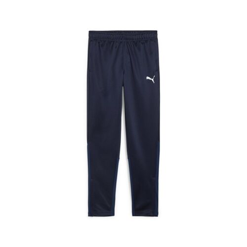 Puma teamGOAL Training Pant Jr - blau
