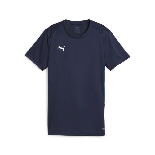 Puma teamGOAL Jersey Wmn - blau