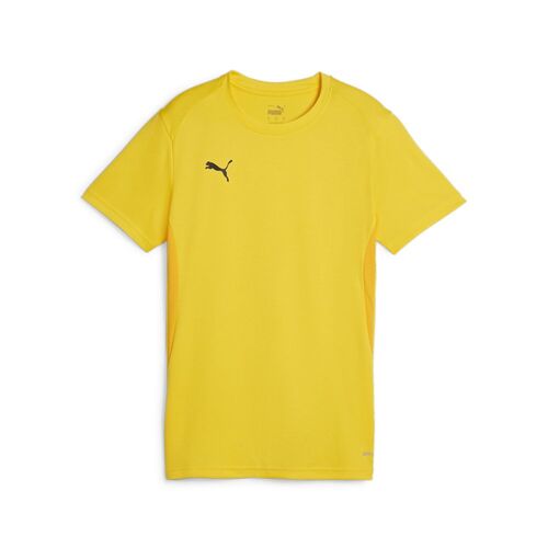Puma teamGOAL Jersey Wmn - gelb
