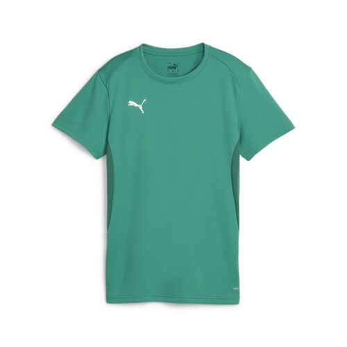 Puma teamGOAL Jersey Wmn - gr�n