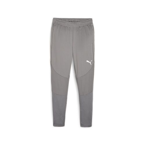 Puma teamFINAL Training Pants - grau