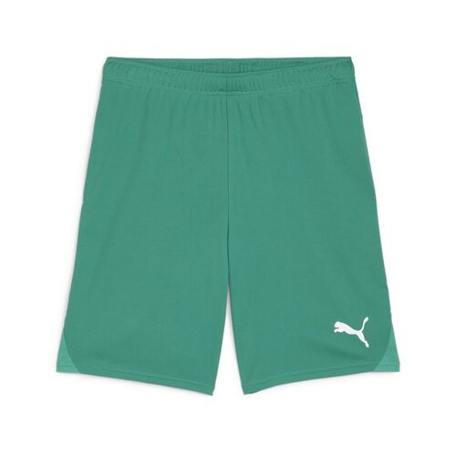 Puma teamGOAL Shorts - gr�n