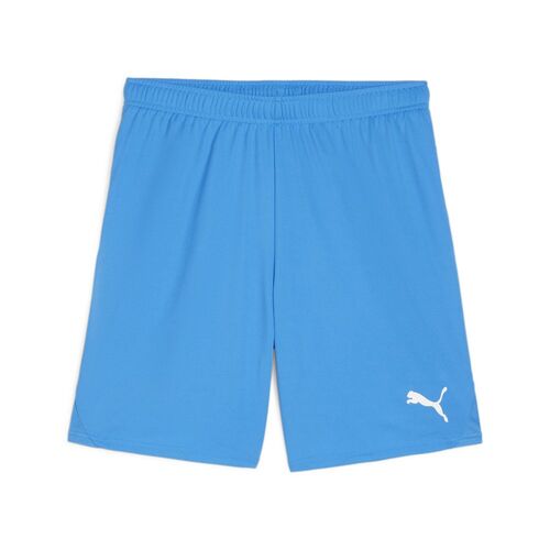 Puma teamGOAL Shorts - blau