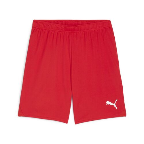 Puma teamGOAL Shorts - rot