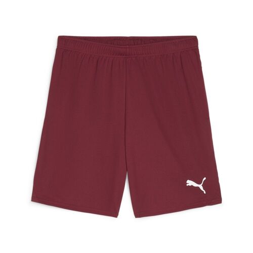 Puma teamGOAL Shorts - rot