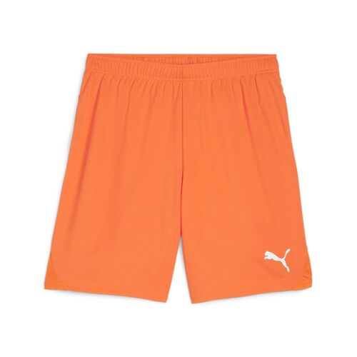 Puma teamGOAL Shorts - orange