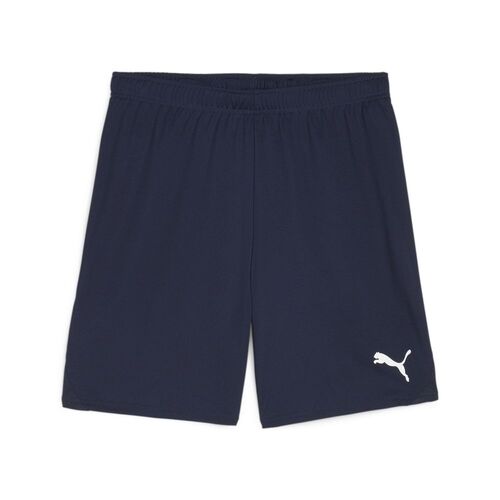 Puma teamGOAL Shorts - blau