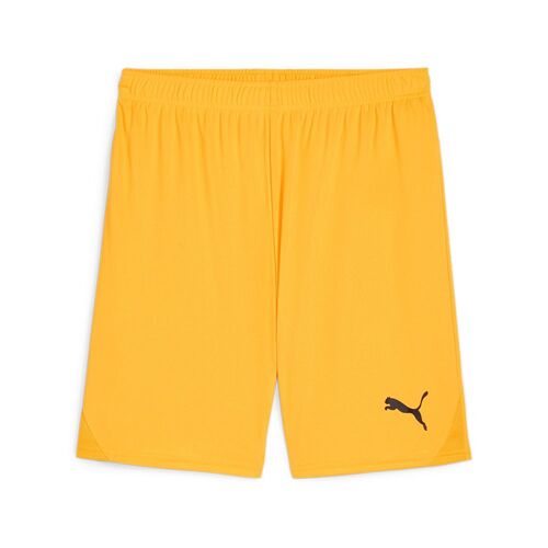 Puma teamGOAL Shorts - orange