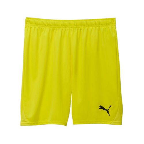 Puma teamGOAL Shorts - gelb
