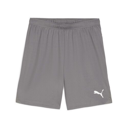 Puma teamGOAL Shorts - grau