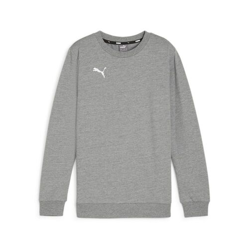 Puma teamGOAL Casuals Crew Neck Sweat Jr - grau
