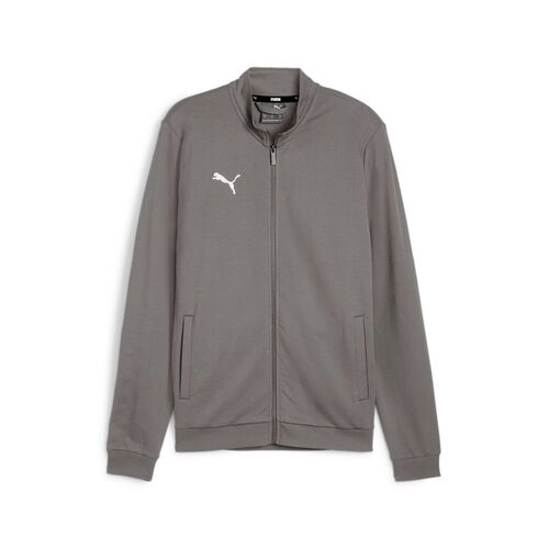 Puma teamGOAL Casual Tracktop - grau
