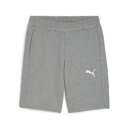Puma teamGOAL Casuals Shorts - grau