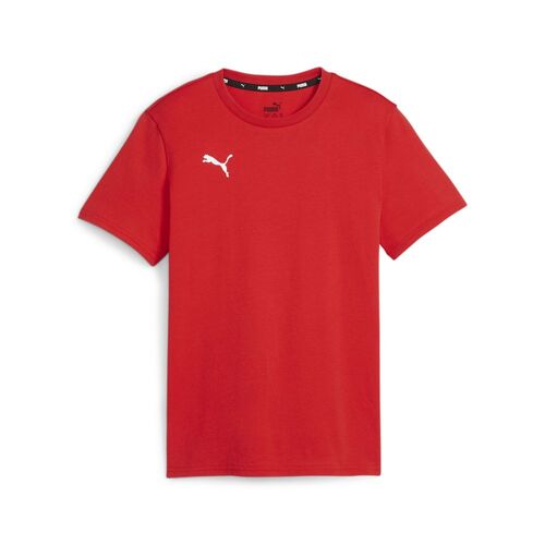 Puma teamGOAL Casuals Tee Jr - rot