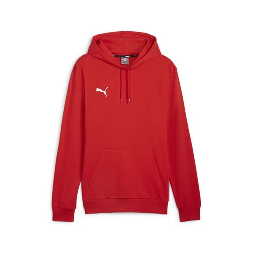 Puma teamGOAL Casuals Hoody - rot