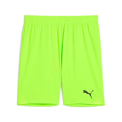 Puma teamGOAL Shorts - gr�n