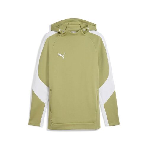 Puma teamEVOSTRIPE Hoody - gr�n