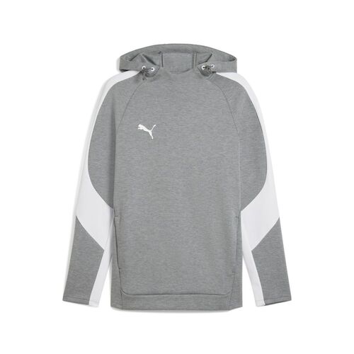 Puma teamEVOSTRIPE Hoody - grau