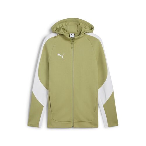 Puma teamEVOSTRIPE Hooded Jacket - gr�n