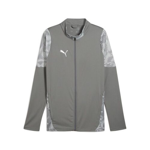 Puma teamCUP Training Jacket - grau