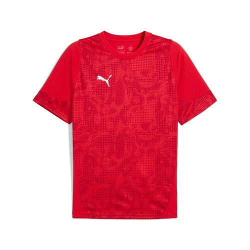 Puma teamCUP Training Jersey - rot