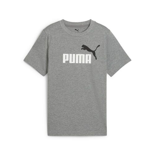 Puma ESS 2 COLOR No.1 Logo Tee B - grau