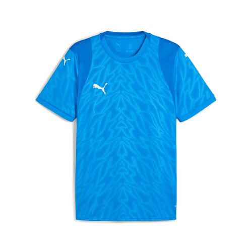 Puma teamCUP Jersey - blau
