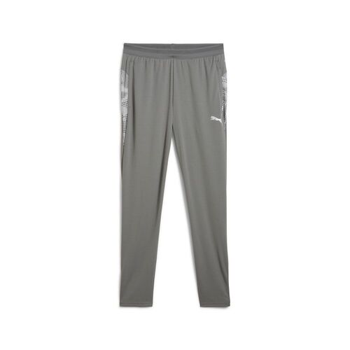 Puma teamCUP Training Pants - grau