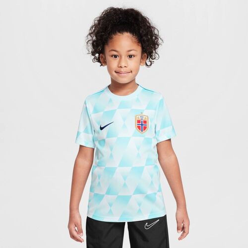 Nike Nor Y Nk Df Acdpr Ss Top Pm - glacier blue/blue void