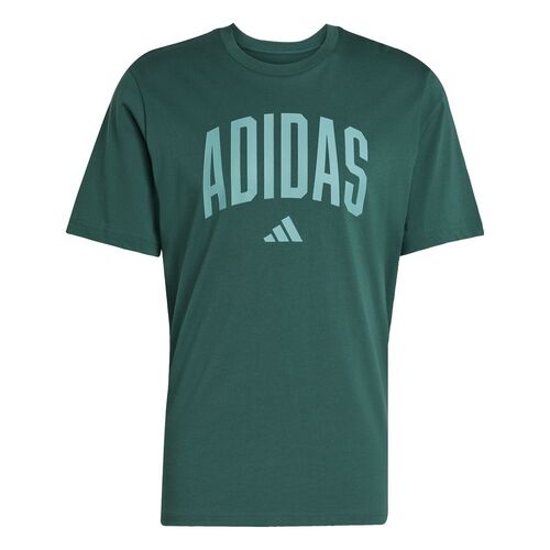 adidas M Collegiate T - cgreen