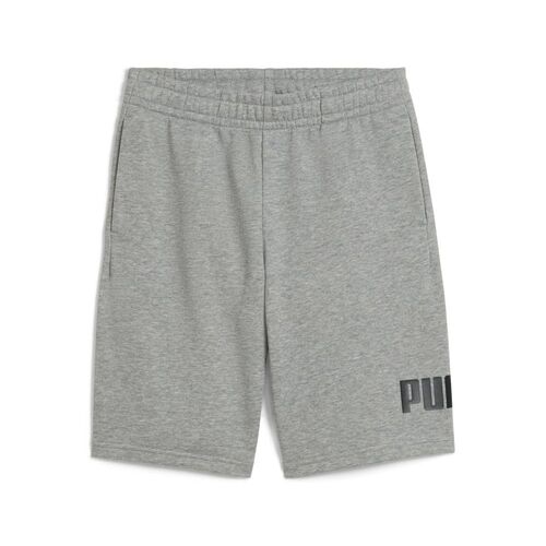 Puma ESS No. 1 Logo Shorts TR B - grau