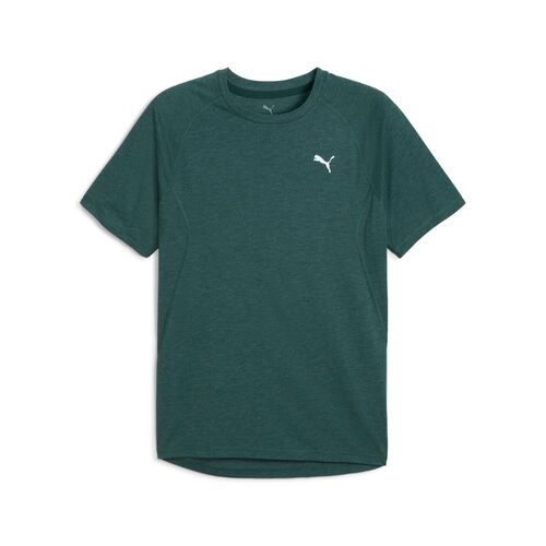 Puma M Run Velocity Tee (tri-blend) - gr�n
