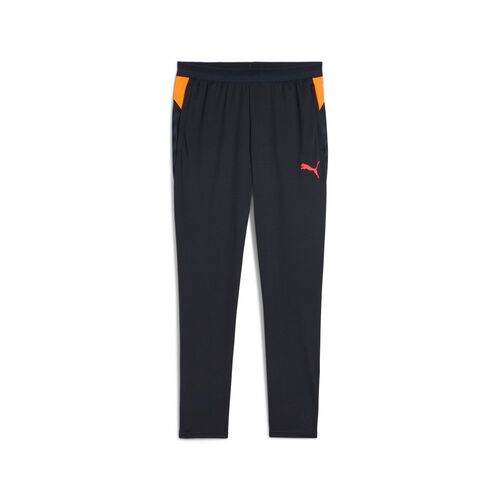 Puma individualCUP Training Pants - blau