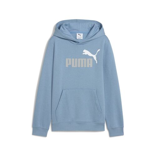 Puma ESS 2 COLOR No. 1 Logo Hoodie FL B - blau