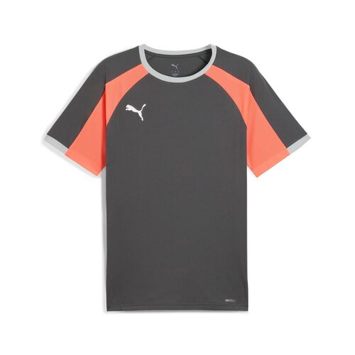 Puma IndividualLIGA Jersey - grau