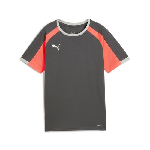 Puma IndividualLIGAJersey Jr - grau