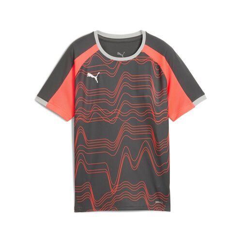 Puma individualLIGA Graphic Jersey jr - grau