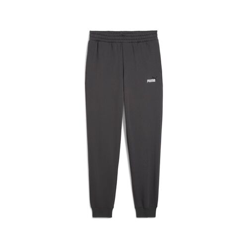 Puma ESS 2 COLOR No. 1 Logo Sweatpants FL cl - grau