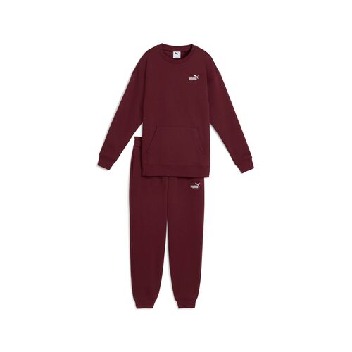 Puma Sweat Suit Relaxed FL cl - rot