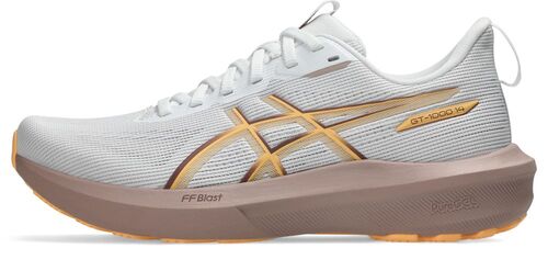 Asics Gt-1000 14 - white/rubble red