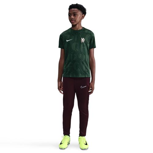 Nike Cfc Ynk Df Acdpr Ss Top K Pm - galactic jade/outdoor green/phantom