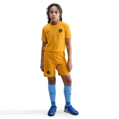 Nike Eh K Nk Df Acd25 Top Ss -Pd - university gold/blackened blue