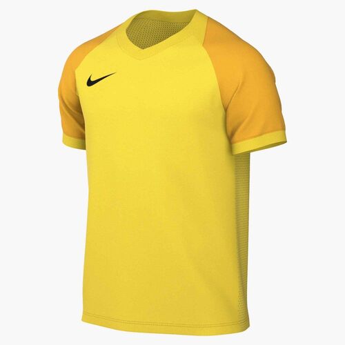 Nike M Nk Df Trophy Vi Jsy Ss - tour yellow/university gold/black