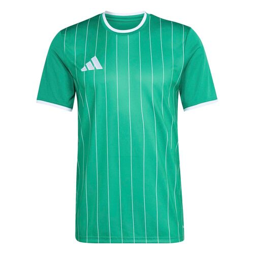 adidas Ent26 Gfx Jsy - teagrn/white