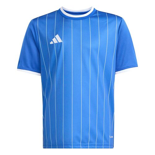 adidas Ent26 Gfx Jsy Y - royblu/white