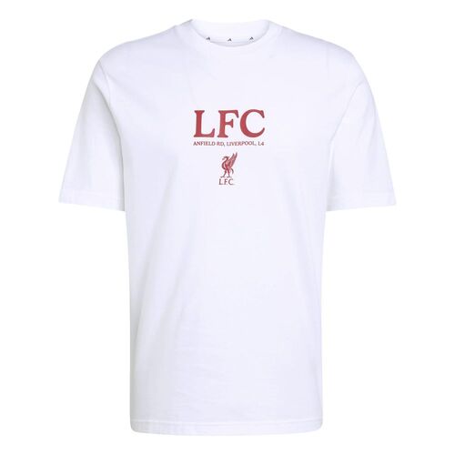 adidas Lfc Gr Tee - white