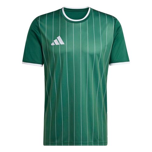 adidas Ent26 Gfx Jsy - drkgrn/white