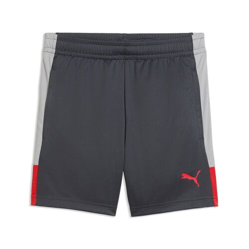 Puma IndividualLIGA Training Shorts Jr - Gray Echo-Dusky Gray-PUMA Red